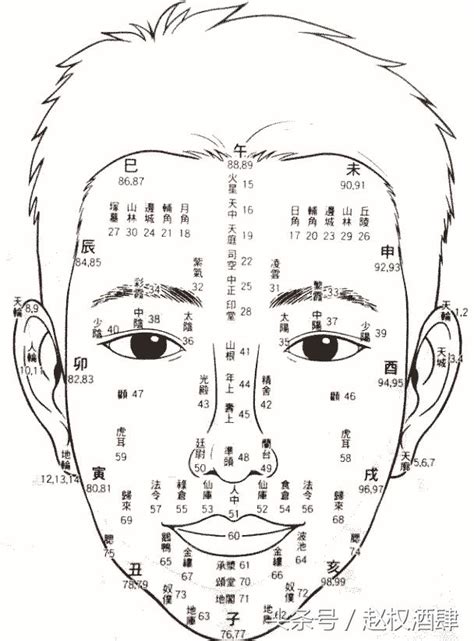 眉運年齡|面相中代表不同年齡的部位，看看自己人生里哪一階段。